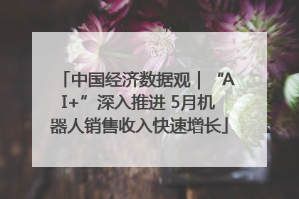 中国经济数据观｜“AI+”深入推进 5月机器人销售收入快速增长