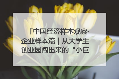 中国经济样本观察·企业样本篇｜从大学生创业园闯出来的“小巨人”——卡诺普机器人的逐梦历程