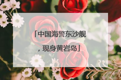 中国海警东沙舰，现身黄岩岛