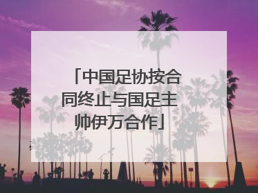 中国足协按合同终止与国足主帅伊万合作