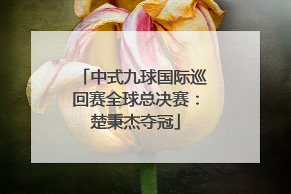 中式九球国际巡回赛全球总决赛：楚秉杰夺冠