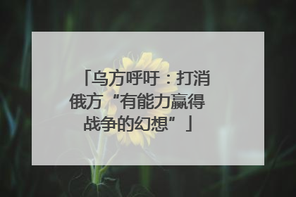 乌方呼吁：打消俄方“有能力赢得战争的幻想”