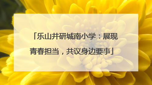 乐山井研城南小学：展现青春担当，共议身边要事
