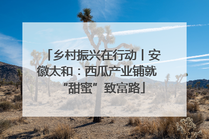 乡村振兴在行动丨安徽太和：西瓜产业铺就“甜蜜”致富路