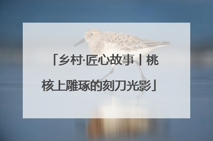 乡村·匠心故事丨桃核上雕琢的刻刀光影