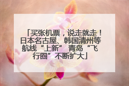 买张机票，说走就走！日本名古屋、韩国清州等航线“上新” 青岛“飞行圈”不断扩大