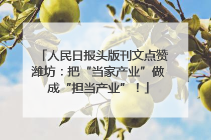 人民日报头版刊文点赞潍坊：把“当家产业”做成“担当产业”！