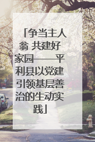 争当主人翁 共建好家园——平利县以党建引领基层善治的生动实践
