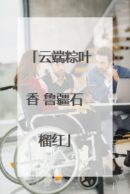云端粽叶香 鲁疆石榴红