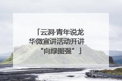 云洞·青年说龙华微宣讲活动开讲“向绿图强”