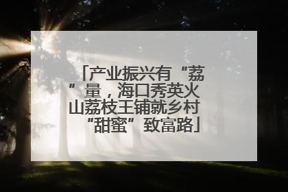 产业振兴有“荔”量，海口秀英火山荔枝王铺就乡村“甜蜜”致富路