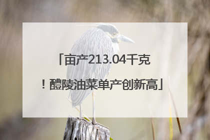 亩产213.04千克！醴陵油菜单产创新高