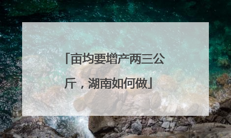 亩均要增产两三公斤，湖南如何做