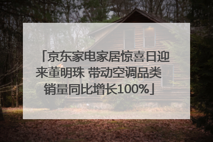 京东家电家居惊喜日迎来董明珠 带动空调品类销量同比增长100%