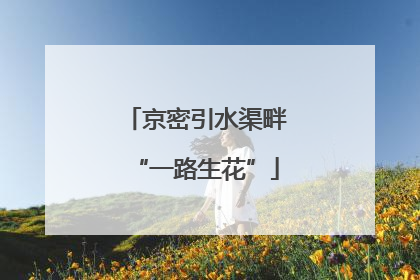 京密引水渠畔“一路生花”