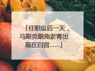 任职最后一天，马斯克眼角淤青出现在白宫……
