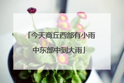 今天商丘西部有小雨 中东部中到大雨