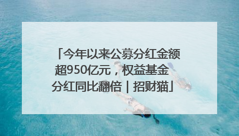 今年以来公募分红金额超950亿元，权益基金分红同比翻倍｜招财猫