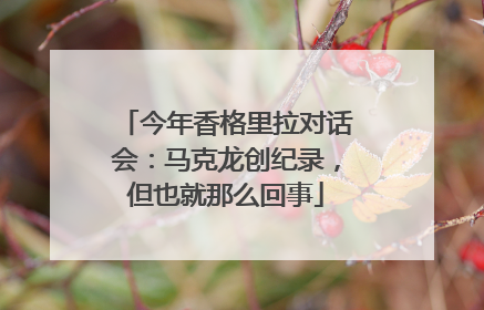 今年香格里拉对话会：马克龙创纪录，但也就那么回事