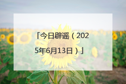 今日辟谣（2025年6月13日）
