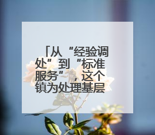从“经验调处”到“标准服务”，这个镇为处理基层劳动关系服务“造标尺”
