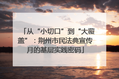 从“小切口”到“大覆盖”：荆州市民法典宣传月的基层实践密码