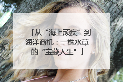 从“海上顽疾”到海洋商机：一株水草的“宝藏人生”