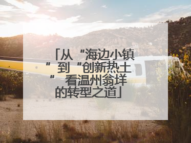 从“海边小镇”到“创新热土” 看温州翁垟的转型之道