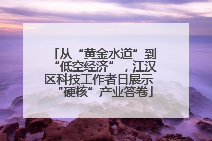 从“黄金水道”到“低空经济”，江汉区科技工作者日展示“硬核”产业答卷