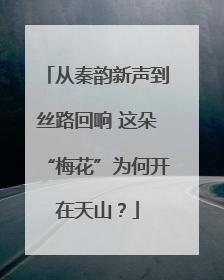 从秦韵新声到丝路回响 这朵“梅花”为何开在天山？