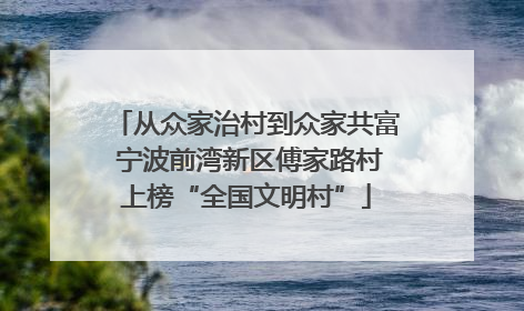 从众家治村到众家共富 宁波前湾新区傅家路村上榜“全国文明村”