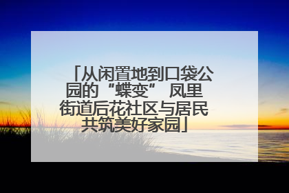 从闲置地到口袋公园的“蝶变” 凤里街道后花社区与居民共筑美好家园