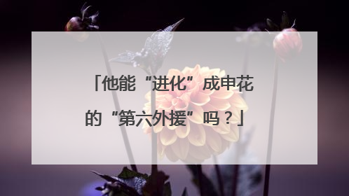 他能“进化”成申花的“第六外援”吗？