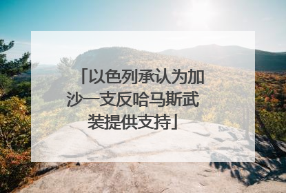 以色列承认为加沙一支反哈马斯武装提供支持