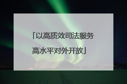 以高质效司法服务高水平对外开放