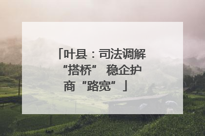 叶县：司法调解“搭桥” 稳企护商“路宽”