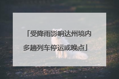 受降雨影响达州境内多趟列车停运或晚点