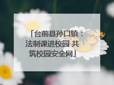 台前县孙口镇：法制课进校园 共筑校园安全网