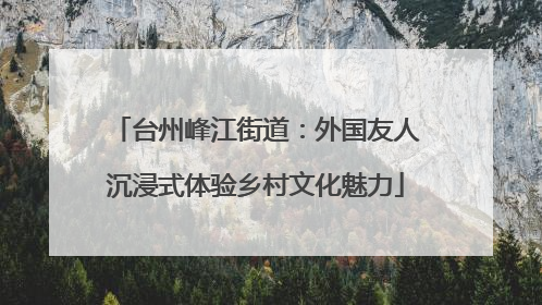 台州峰江街道：外国友人沉浸式体验乡村文化魅力