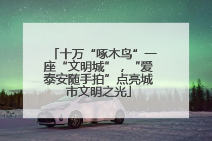 十万“啄木鸟”一座“文明城”，“爱泰安随手拍”点亮城市文明之光