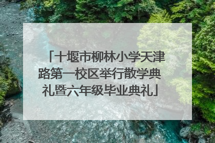 十堰市柳林小学天津路第一校区举行散学典礼暨六年级毕业典礼