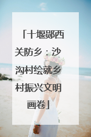 十堰郧西关防乡：沙沟村绘就乡村振兴文明画卷
