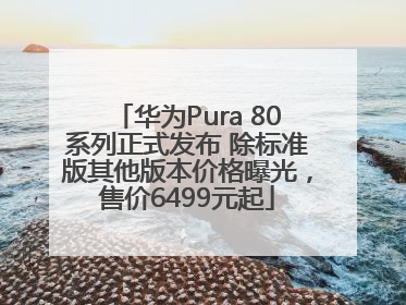 华为Pura 80系列正式发布 除标准版其他版本价格曝光，售价6499元起