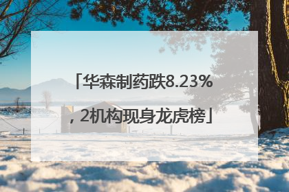 华森制药跌8.23%，2机构现身龙虎榜