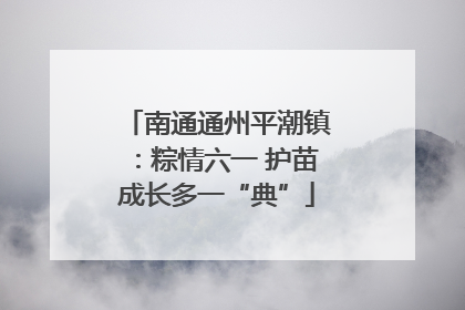 南通通州平潮镇：粽情六一 护苗成长多一“典”