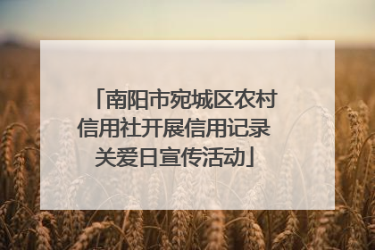 南阳市宛城区农村信用社开展信用记录关爱日宣传活动
