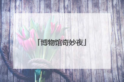 博物馆奇妙夜