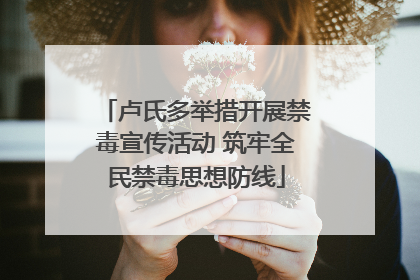 卢氏多举措开展禁毒宣传活动 筑牢全民禁毒思想防线