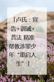 卢氏：宣告+训诫+普法 精准帮教涉罪少年“重启人生”