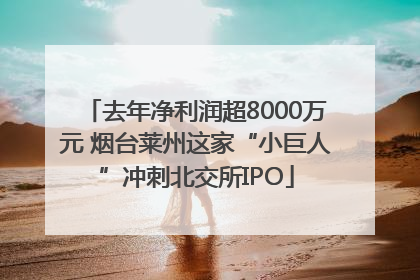 去年净利润超8000万元 烟台莱州这家“小巨人”冲刺北交所IPO